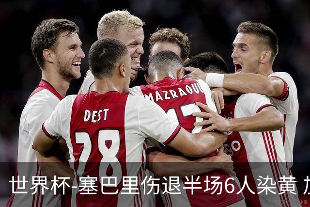 世界杯-塞巴里伤退半场6人染黄 加拿大半场0-0摩洛哥