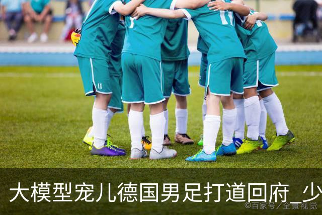 大模型宠儿德国男足打道回府 少了人性观察数据等于废纸