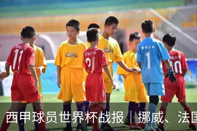 西甲球员世界杯战报｜挪威、法国、墨西哥晋级16强
